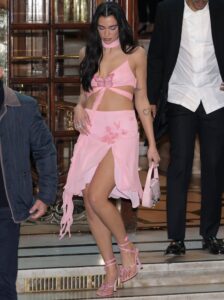 Dua Lipa's Pink Wispy Butterfly Outfit From Blumarine